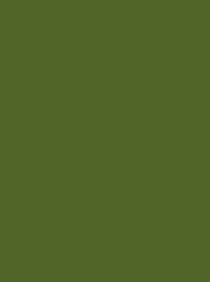 Colour olive 